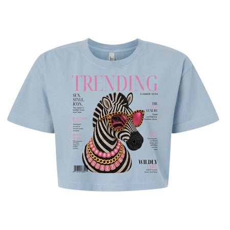 Hush Boutique light blue garment dyed crop t-shirt featuring a graphic print of a zebra wearing pink sunglasses