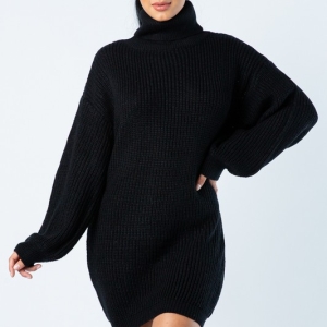 Day or Night Turtleneck Sweater Dress Tunic